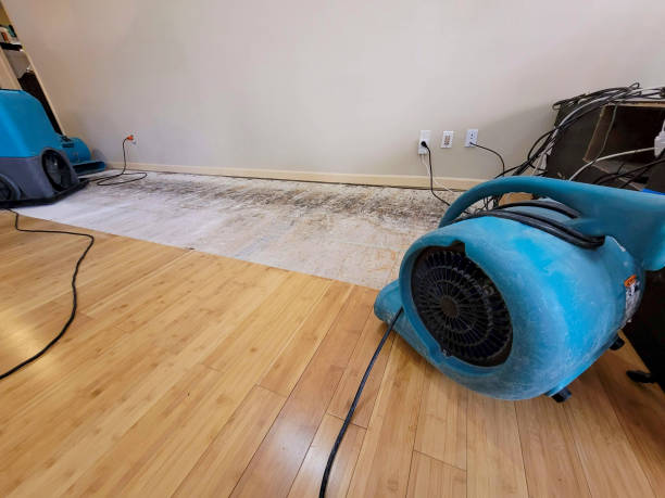 Professional Water Damage Repair technician working in Leetsdale, PA